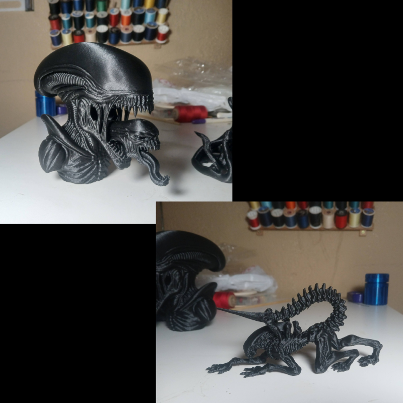 Xenomorph bundle